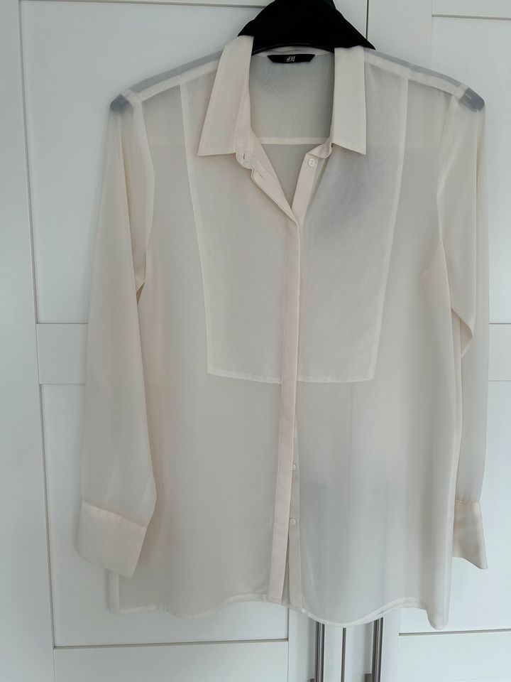 Bluse mit Schleife, beige, klassisch in Bad Oldesloe