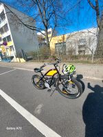 Wilden kerle fahrrad Schwerin - Mueßer Holz Vorschau