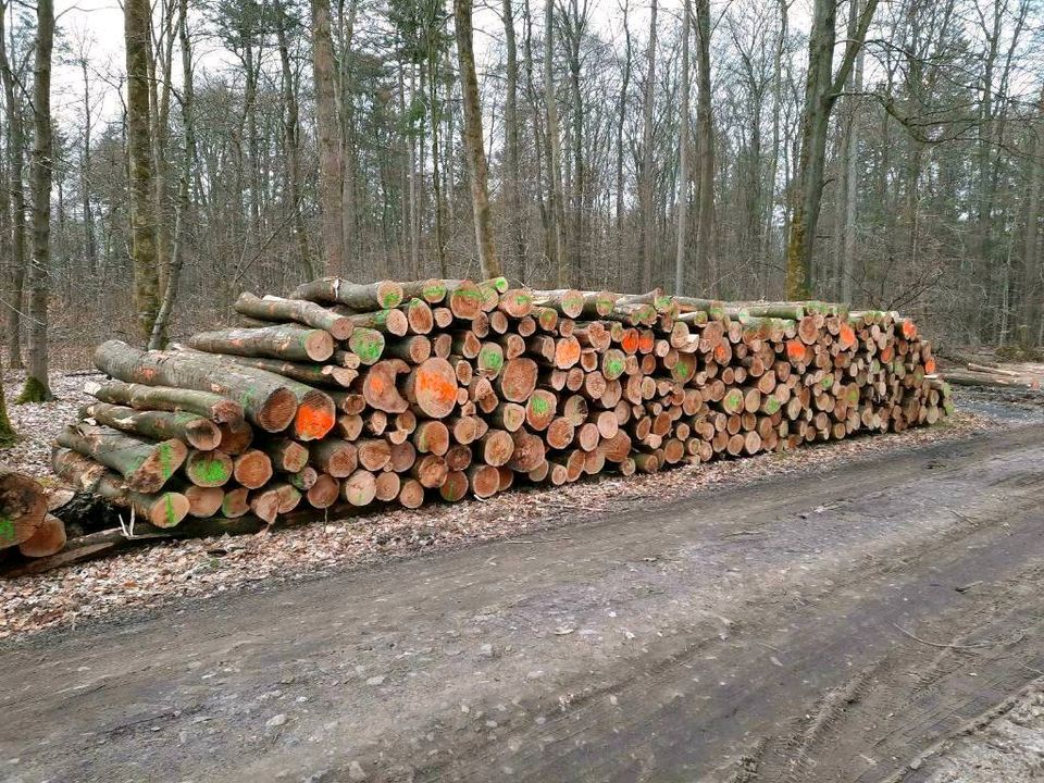 Kaminholz, Feuerholz,  Brennholz in Rosengarten