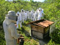 Neu Imkeranzug Imkerschutzanzug Bienenanzug Baden-Württemberg - Trossingen Vorschau