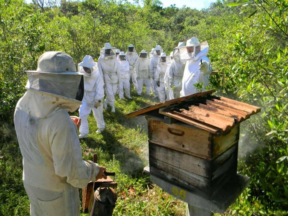 Neu Imkeranzug Imkerschutzanzug Bienenanzug in Trossingen