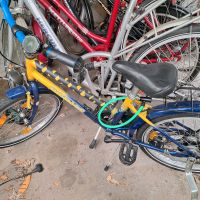 Fahrräder damen und kinder Nordrhein-Westfalen - Ibbenbüren Vorschau