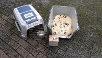 Hundetransbordbox/Flugbox + Rollen mit Kissen und napf Niedersachsen - Moringen Vorschau