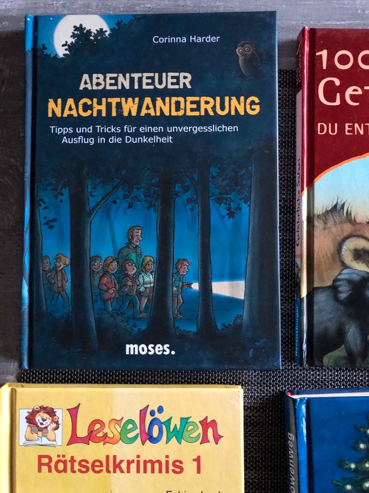 Kinderbücher Kirsten Boje, Leselöwen, etc in Bönningstedt