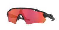 Oakley RADAR EV PATH Rad Bike MTB Brille NEU inkl. Versand Baden-Württemberg - Meckenbeuren Vorschau