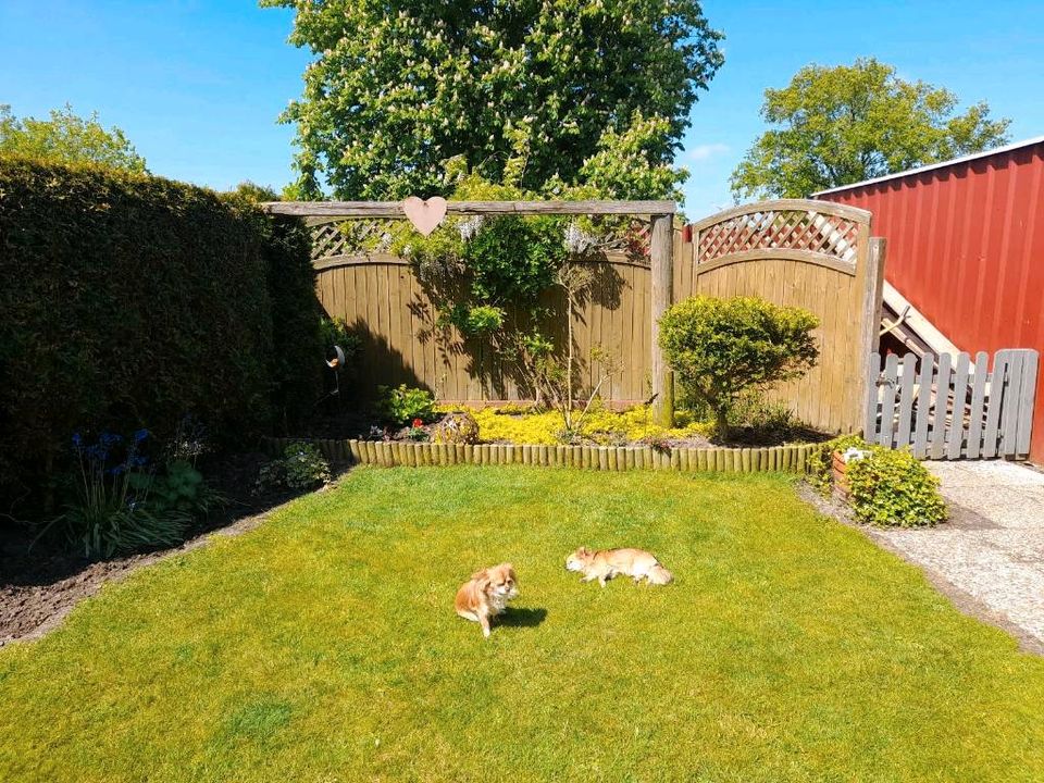 Ferienwohnung nahe Nordsee, Hunde erlaubt, Urlaub in Ostfriesland in Westerholt