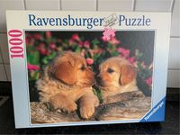 Ravensburger Puzzle 1000 vollständig- süße Welpen - TOP Niedersachsen - Delmenhorst Vorschau