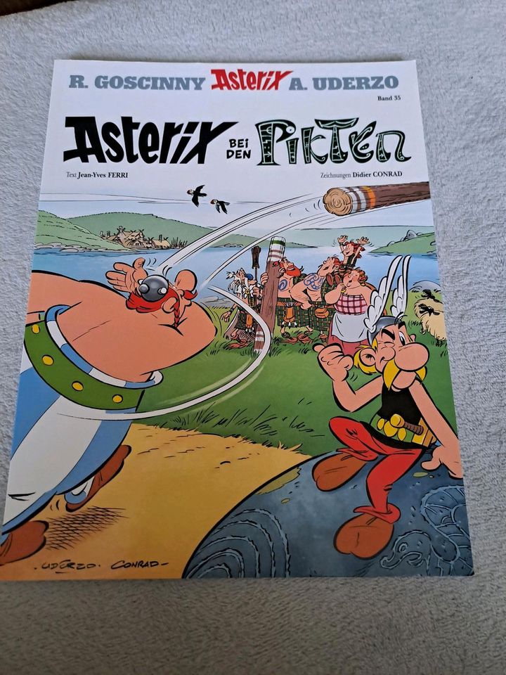 Asterix BAND 35 in Steinhöfel