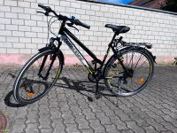 Tecno Bike Portofino Street Cross Bayern - Neutraubling Vorschau