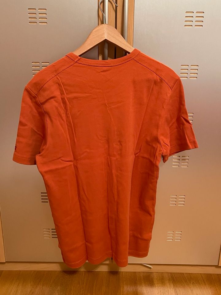 T-Shirt Esprit Herren XXL, XL Orange Herren in Tittling