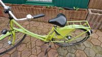 Fahrräder zu verkaufen Niedersachsen - Rhauderfehn Vorschau