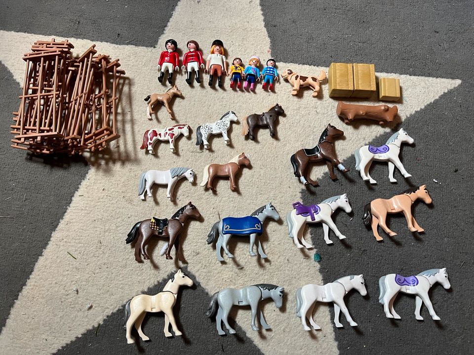 Playmobil  pferde in Wenden