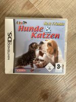 Best friends- Hunde & Katzen Schleswig-Holstein - Elmshorn Vorschau