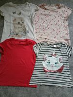 T-Shirt Set H&M Gr. 122/128 Nordwestmecklenburg - Landkreis - Hohenkirchen Vorschau