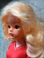 Sindy Pedigree Puppe Vintage Clone Barbie Baden-Württemberg - Aichwald Vorschau