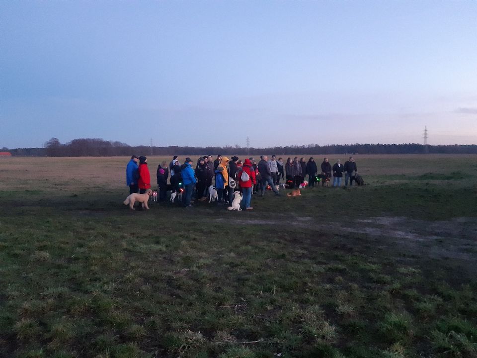 Hundeschule , Hundetraining in Oranienburg , Oberhavel , Berlin in Oranienburg