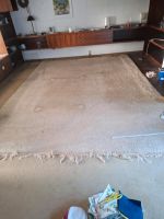 Großer beiger Teppich mit Gebrauchsspuren günstig abzugeben Nordrhein-Westfalen - Nieheim Vorschau