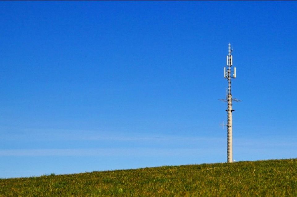 Wald Waldfläche Grundstück Wiese Acker zur PACHT - Ausbau 5G LTE in Eschau