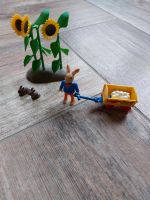 Playmobil 4453 Osterhäschen mit Leiterwagen Hase Sonnenblume Bayern - Neukirchen-Balbini Vorschau