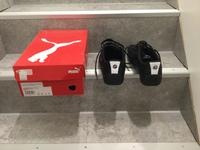 Puma Sneaker BMW MMS Drift Dortmund - Bodelschwingh Vorschau