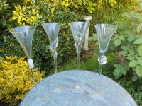 ROSENTHAL Champagner Gläser 4 stück Niedersachsen - Cuxhaven Vorschau