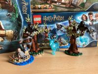 Lego Harry Potter 75945 Expecto Patronum Nordrhein-Westfalen - Willebadessen Vorschau