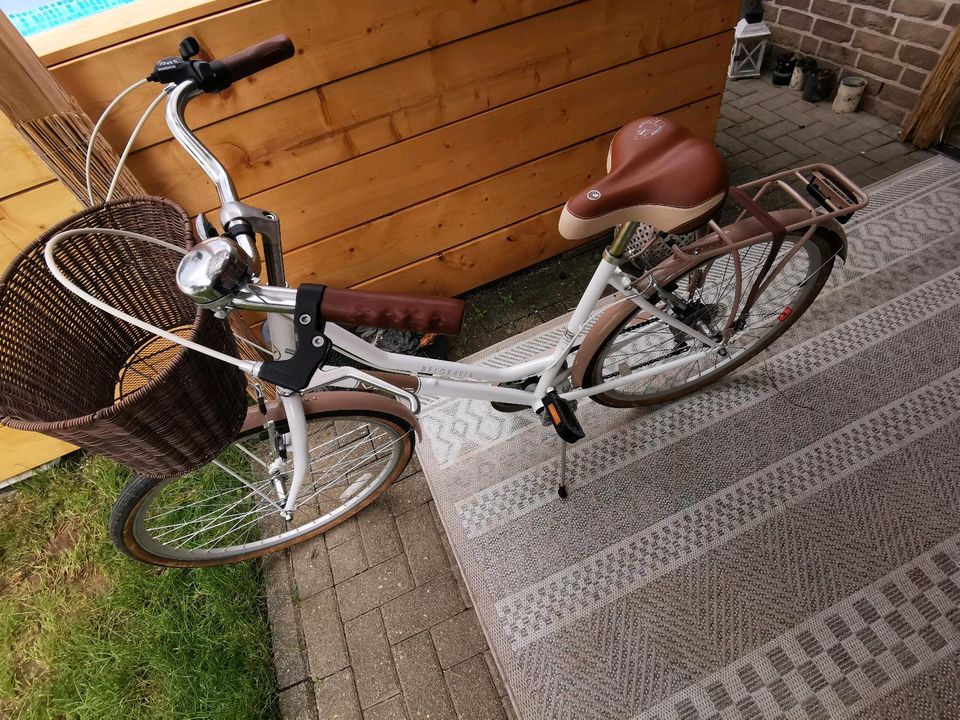 Belgravia Vikings Hollandrad 26 Zoll, Damen-oder Kinderrad in Wassenberg
