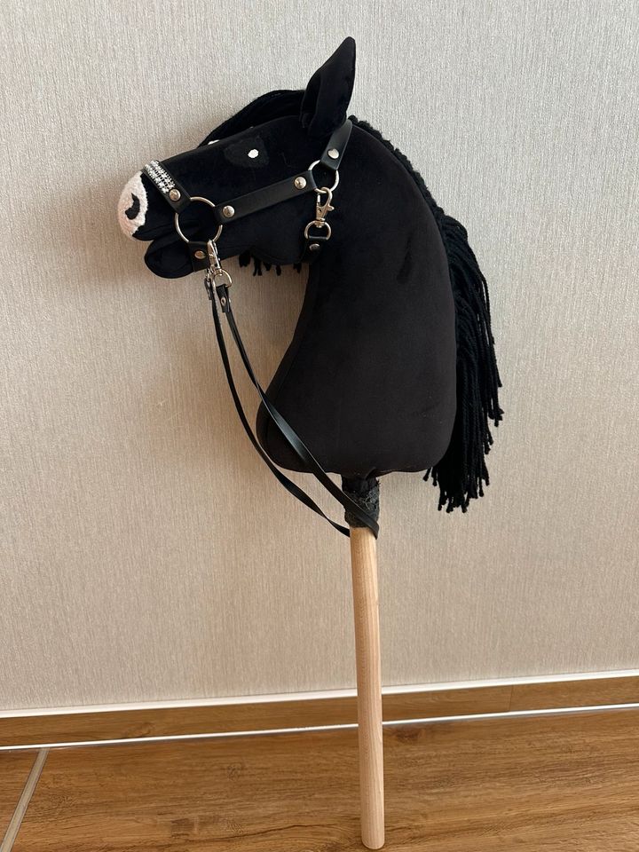 Hobby Horse in Rotenburg