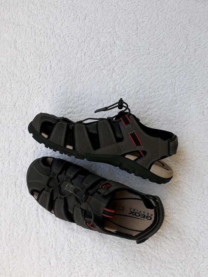 Geox Respira 42 UK8 (ab 41) Trekking-Sandalen Outdoor-Sandalen in  Baden-Württemberg - Nattheim | eBay Kleinanzeigen ist jetzt Kleinanzeigen