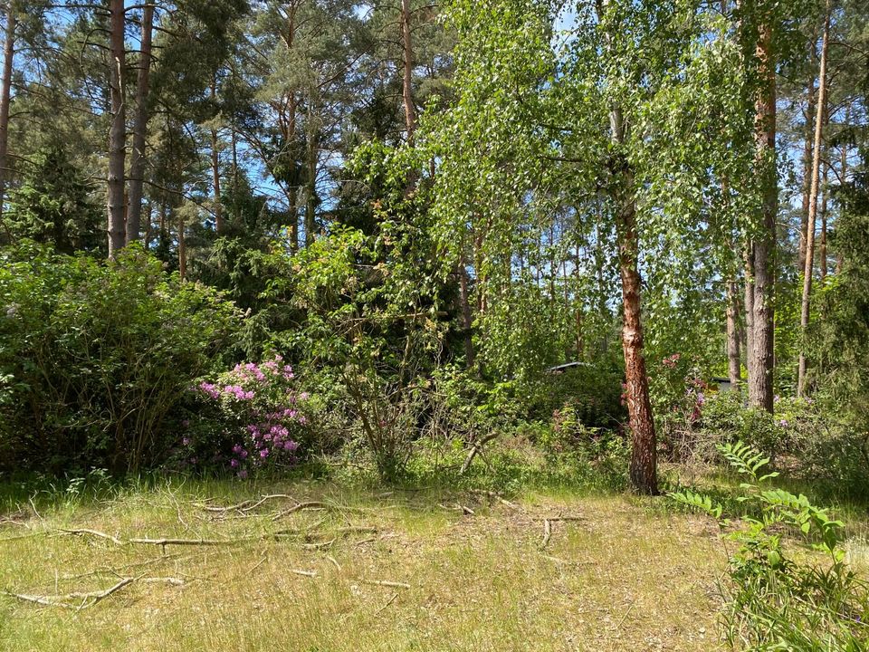 Baugrundstück in naturschöner Umgebung! in Mittenwalde