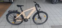 E-Bike MY Esel E-Cross Pro Plus+ Größe L, Esche Dresden - Briesnitz Vorschau