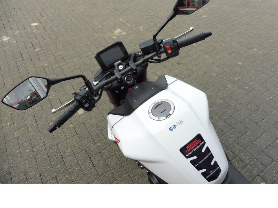 Honda CB 750 Hornet ABS 2024 in Naumburg (Saale)