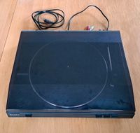 Schallplattenspieler SONY PS-LX300USB Nordrhein-Westfalen - Kalletal Vorschau