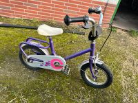 Puky Fahrrad 12 Zoll Kinderfahrrad Nordrhein-Westfalen - Hennef (Sieg) Vorschau