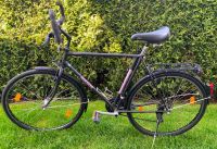 Hercules Superior Herrenrad 28 Zoll, Citybike Nordrhein-Westfalen - Königswinter Vorschau