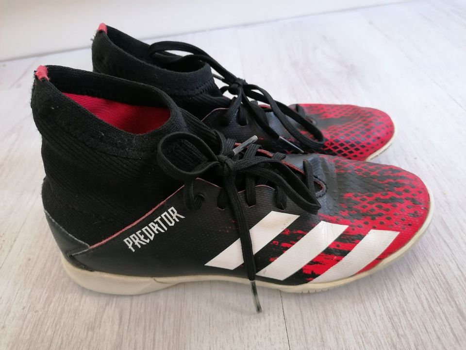 Adidas Predator rot / schwarz Gr. 35,5 Hallenfußballschuhe in Extertal
