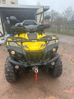 Verkaufe ATV /Quad Goes g 650i Sachsen - Frankenberg (Sa.) Vorschau