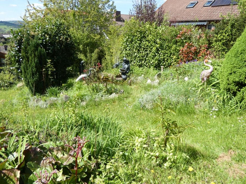 Sonnige Randlage mit großem Garten. Bungalow mit Gartengrundstück in Michelstadt