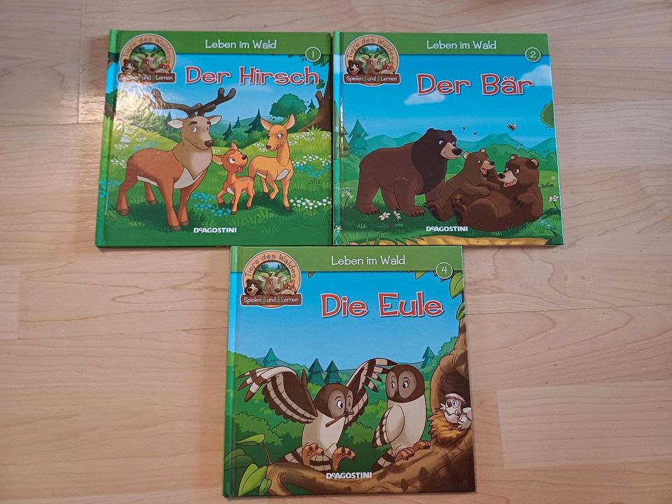 Sachbücher Eule, Bär und Hirsch in Rohrbach (Pfalz)