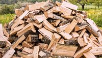 Ich suche Brennholz zu verschenken oder für ein schmalen Taler  Nordrhein-Westfalen - Rietberg Vorschau