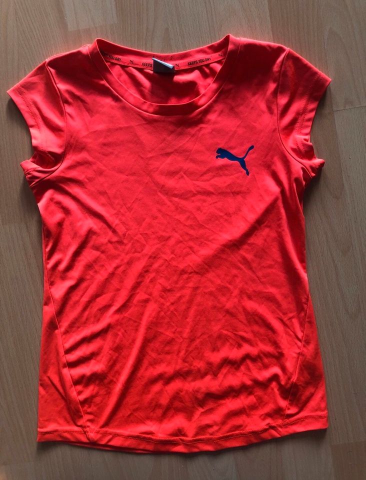 Sportshirt Puma in Berlin