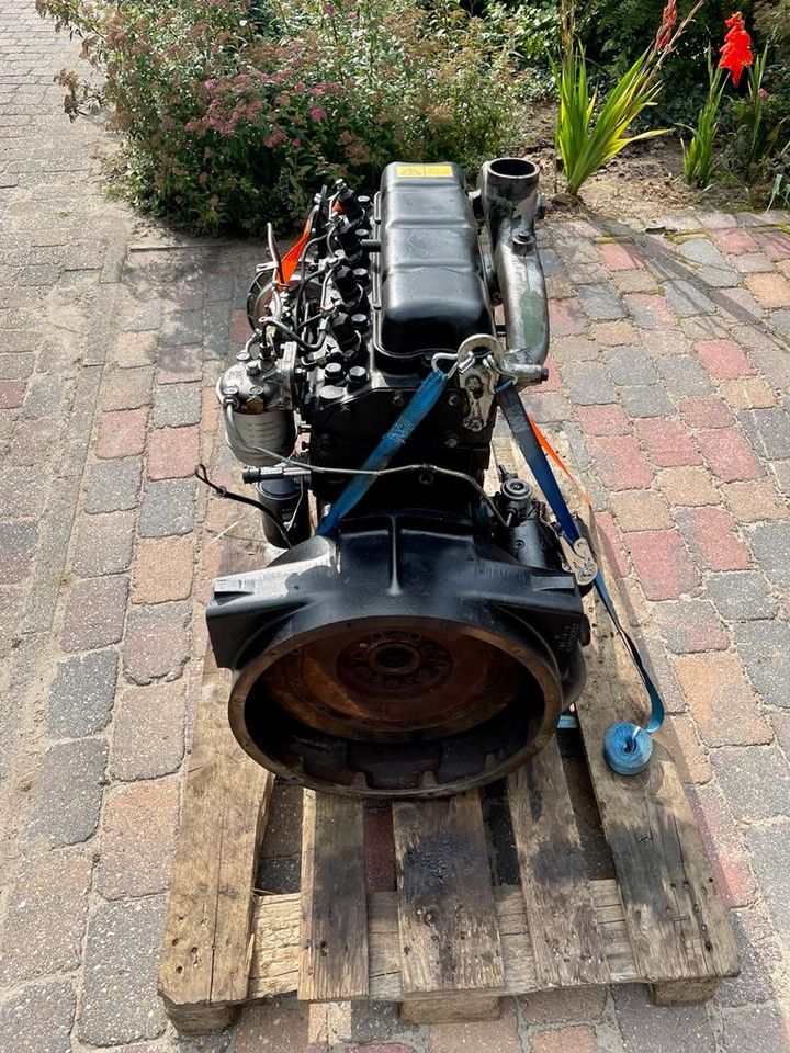 Perkins 4.236 Motor Bagger Hanomag Radlader Boot in Meppen