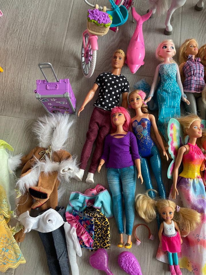 Barbie Set, Puppen, Haus, Fahrzeuge, Pferde und Zubehör in Bad Langensalza