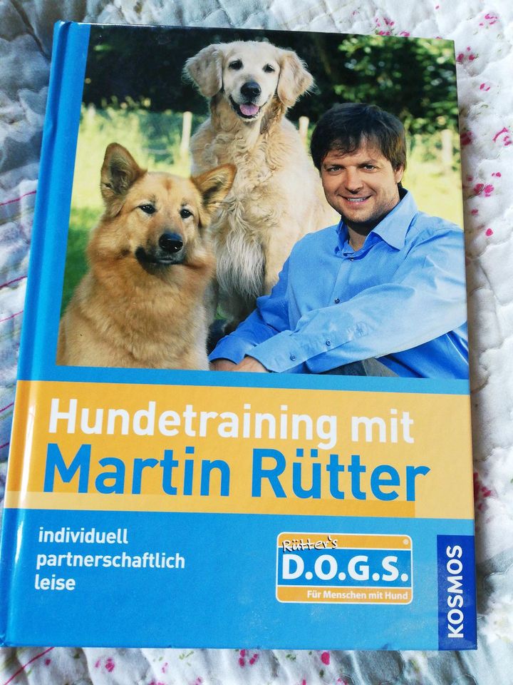 Hundetraining /Rütter in Gelnhausen