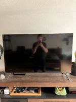 Samsung Fernseher UHD 4K 49 Zoll Sachsen - Görlitz Vorschau