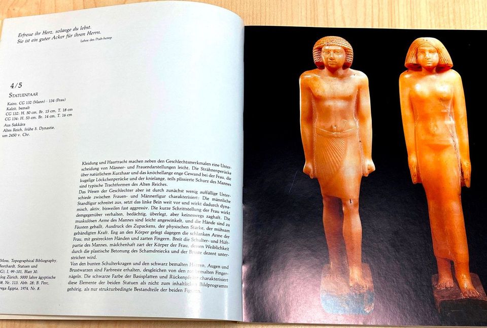 ⭐ Buch Nofret Die Schöne ÄgyptenArchäologie. Kunstgeschichte⭐ in Werne