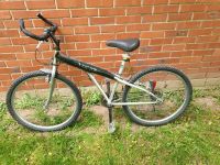 Fahrrad 26 Zoll Nordrhein-Westfalen - Delbrück Vorschau