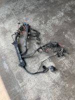 BMW e34 525i Motor Kabelbaum Ohne Vanos M50 Manuell Nordrhein-Westfalen - Bottrop Vorschau