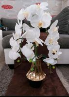 ABELLA Flora künstliche Orchidee schwarz/goldener Designtopf Sachsen - Rötha Vorschau