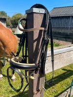 Pferde Trense mit Zügel Full neu Niedersachsen - Handrup Vorschau